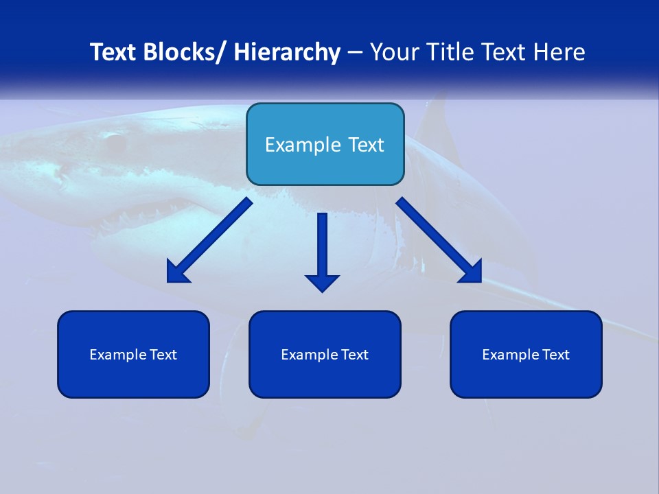 A Great White Shark Swimming In The Blue Water PowerPoint Template