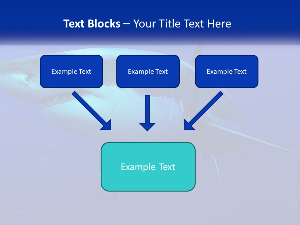 A Great White Shark Swimming In The Blue Water PowerPoint Template