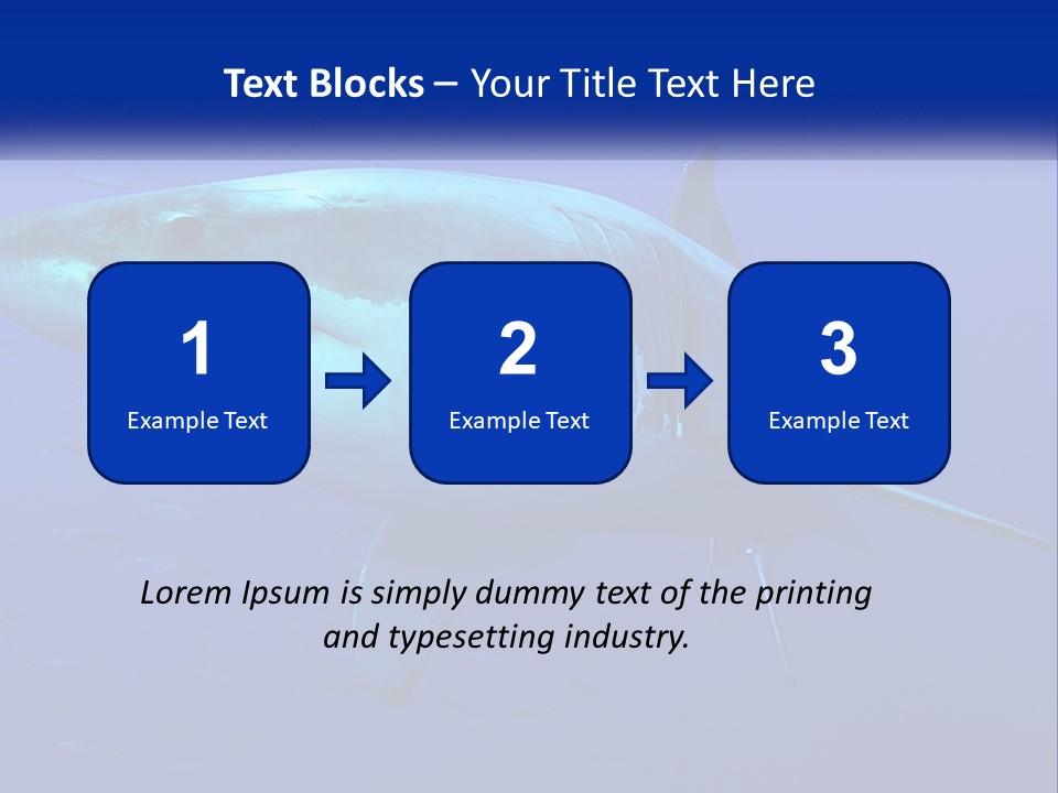 A Great White Shark Swimming In The Blue Water PowerPoint Template