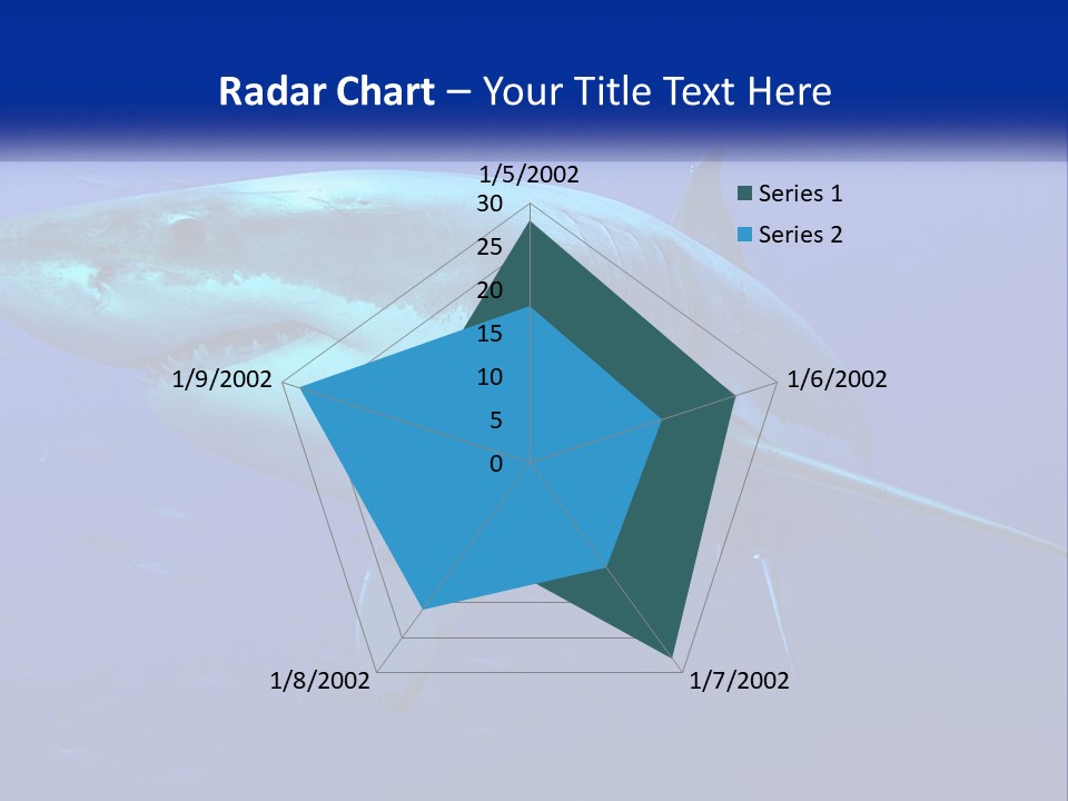 A Great White Shark Swimming In The Blue Water PowerPoint Template