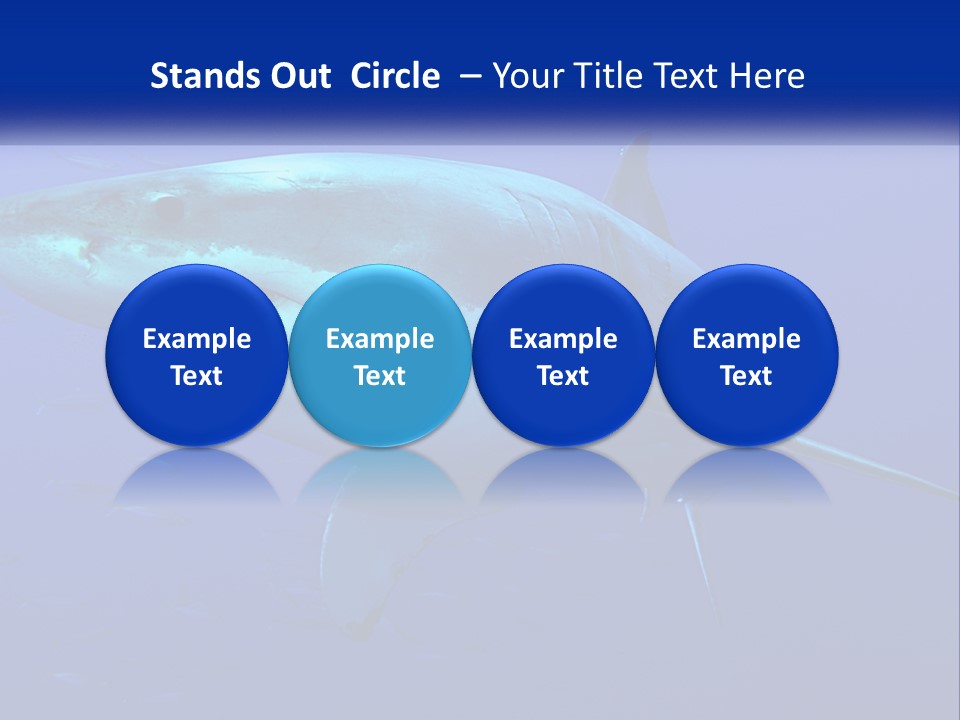 A Great White Shark Swimming In The Blue Water PowerPoint Template