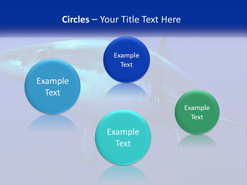 A Great White Shark Swimming In The Blue Water PowerPoint Template