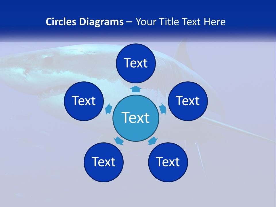 A Great White Shark Swimming In The Blue Water PowerPoint Template