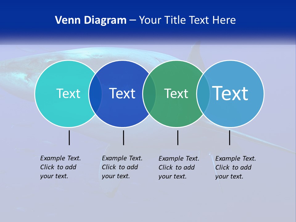 A Great White Shark Swimming In The Blue Water PowerPoint Template