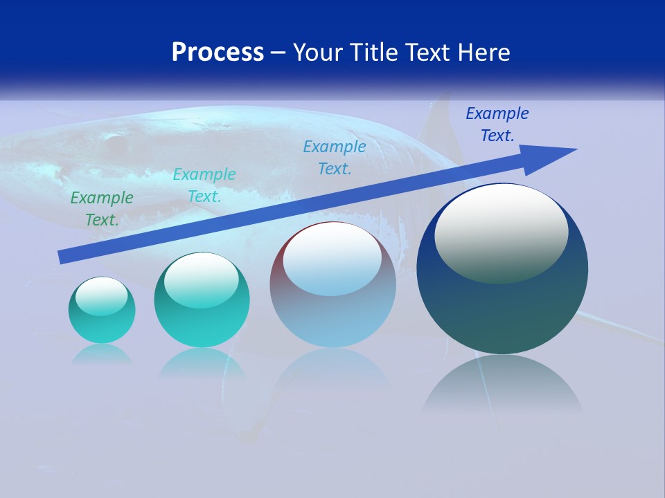 A Great White Shark Swimming In The Blue Water PowerPoint Template