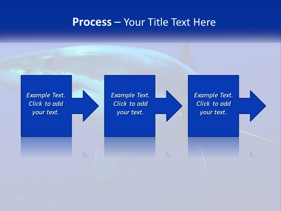 A Great White Shark Swimming In The Blue Water PowerPoint Template