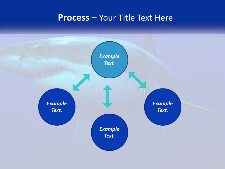 A Great White Shark Swimming In The Blue Water PowerPoint Template