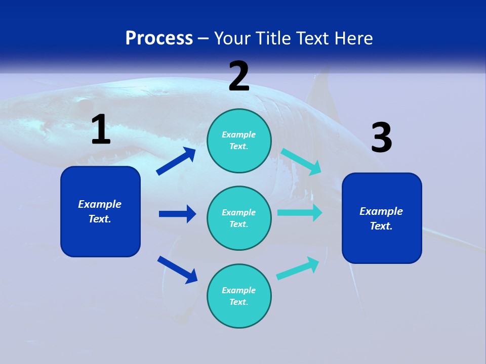 A Great White Shark Swimming In The Blue Water PowerPoint Template