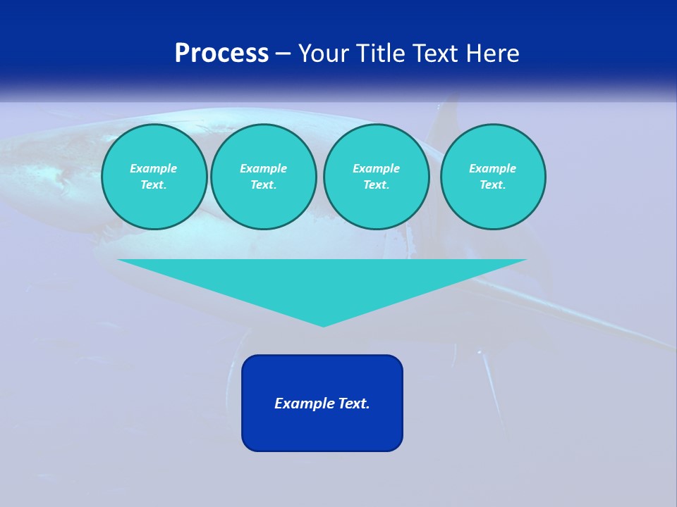 A Great White Shark Swimming In The Blue Water PowerPoint Template