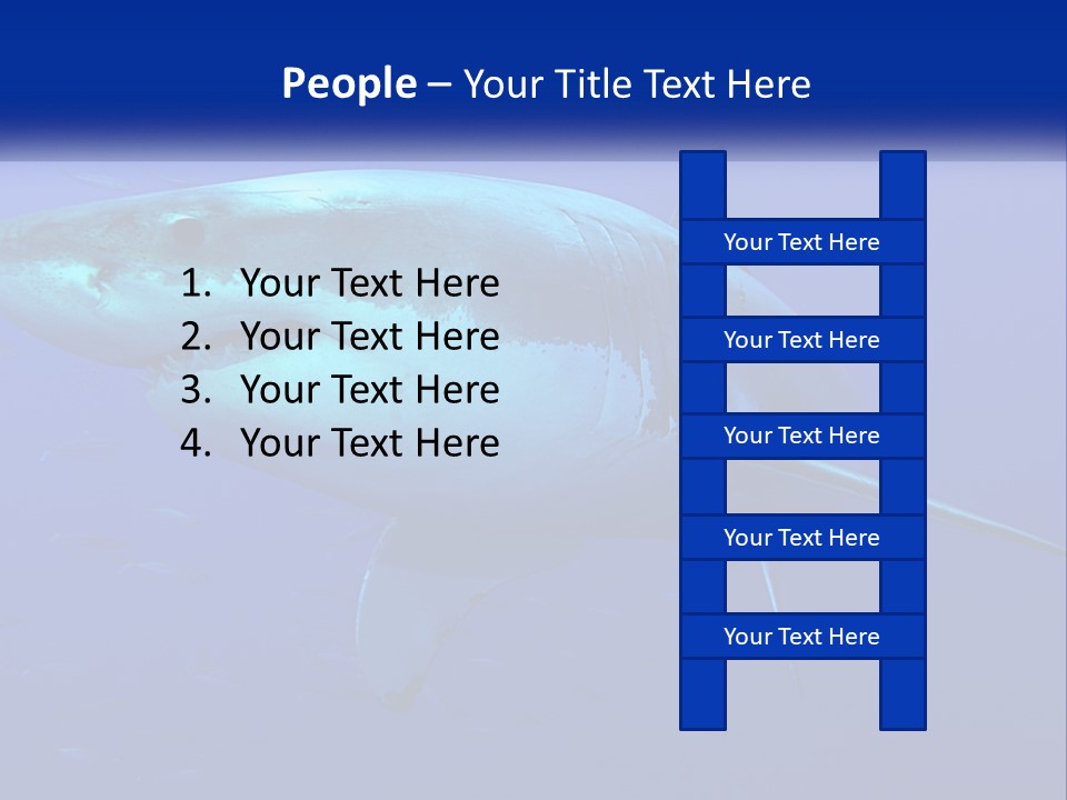 A Great White Shark Swimming In The Blue Water PowerPoint Template