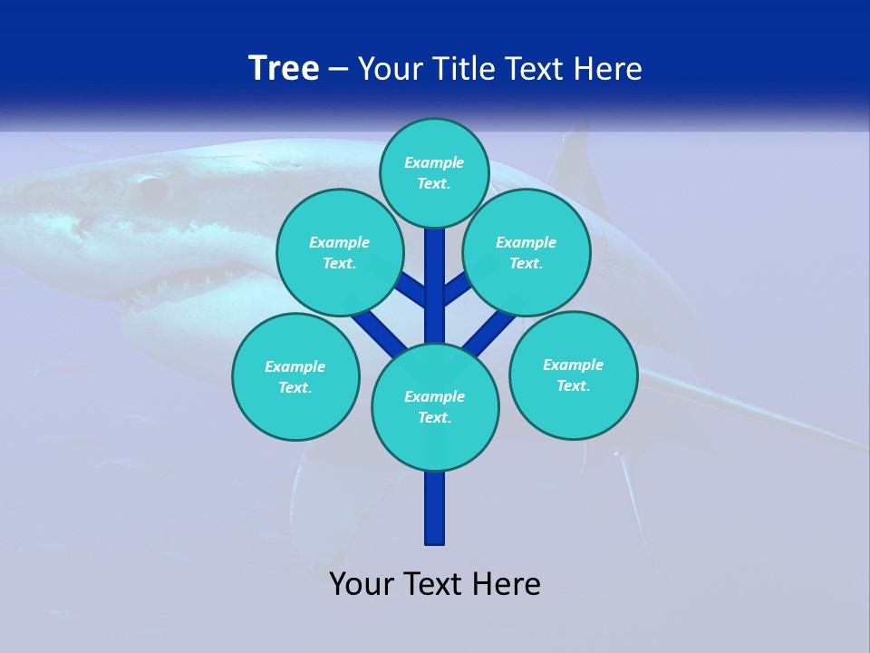 A Great White Shark Swimming In The Blue Water PowerPoint Template