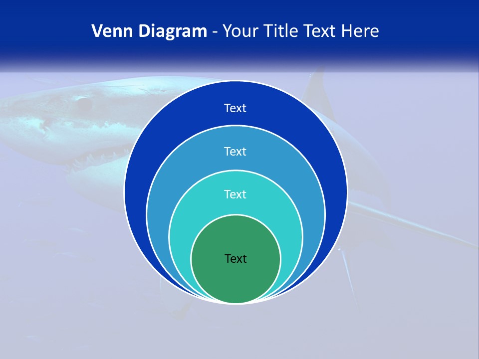 A Great White Shark Swimming In The Blue Water PowerPoint Template