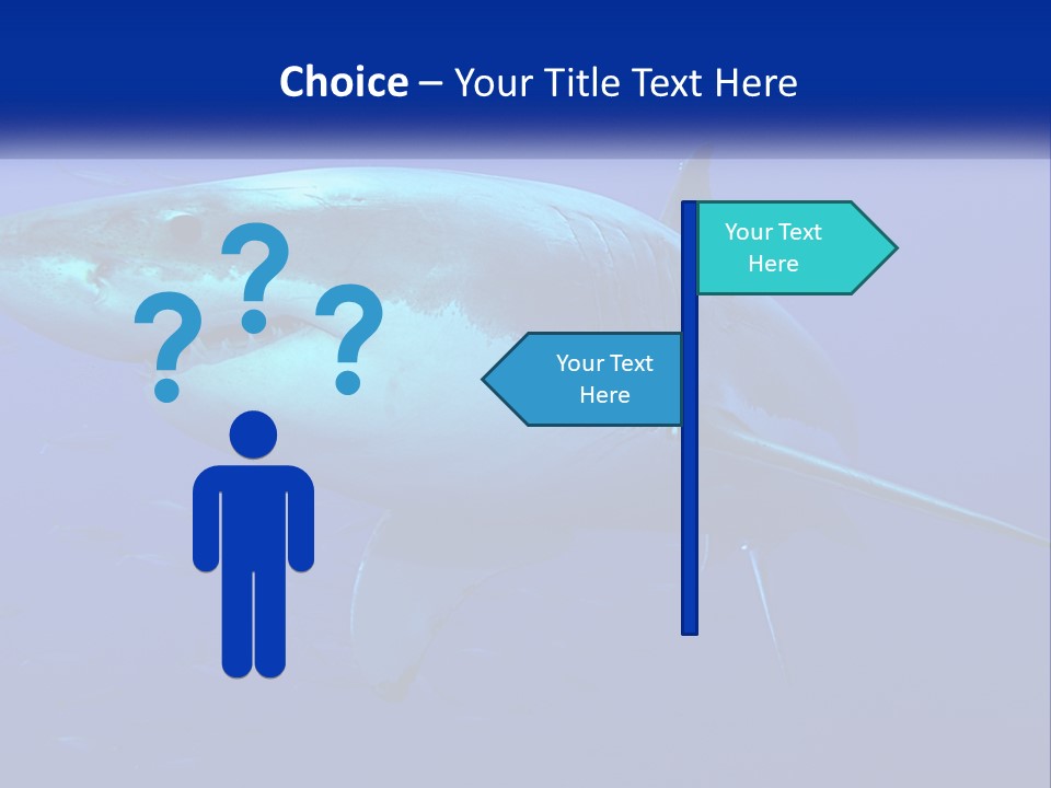 A Great White Shark Swimming In The Blue Water PowerPoint Template