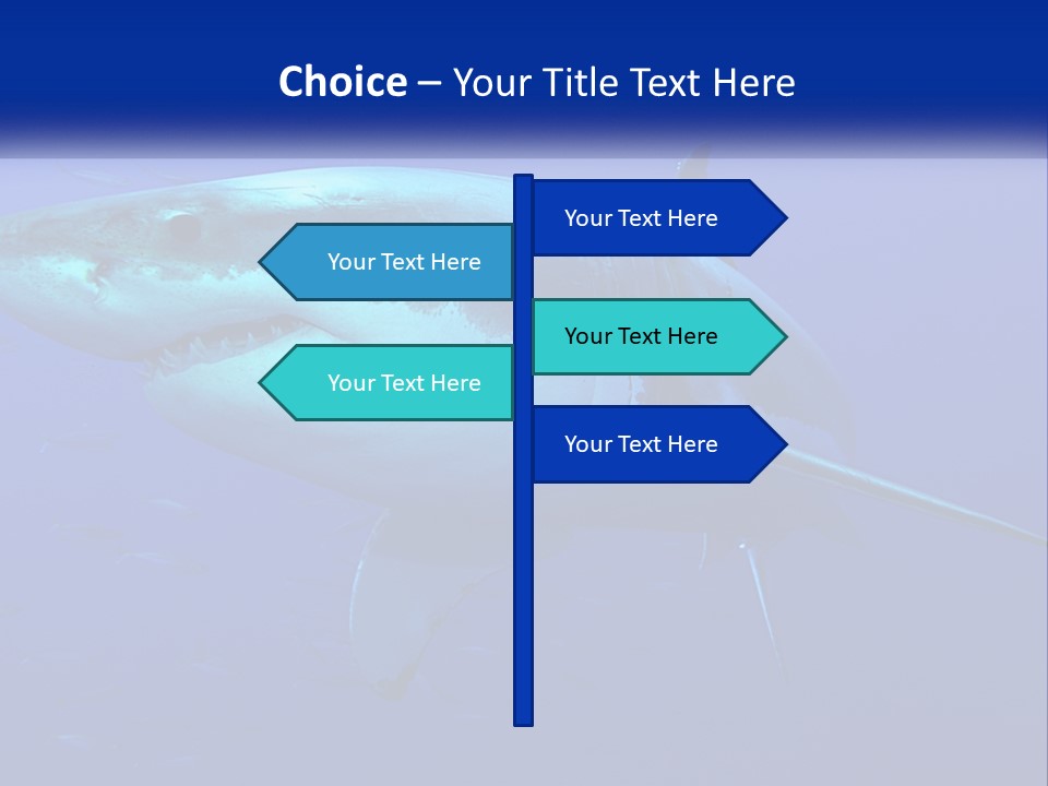 A Great White Shark Swimming In The Blue Water PowerPoint Template