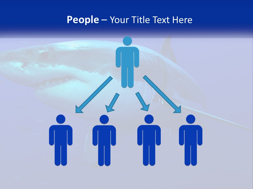 A Great White Shark Swimming In The Blue Water PowerPoint Template