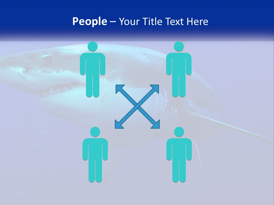 A Great White Shark Swimming In The Blue Water PowerPoint Template