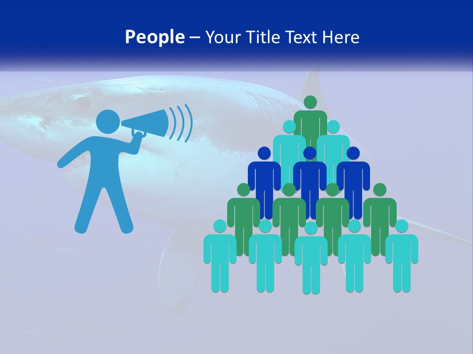 A Great White Shark Swimming In The Blue Water PowerPoint Template