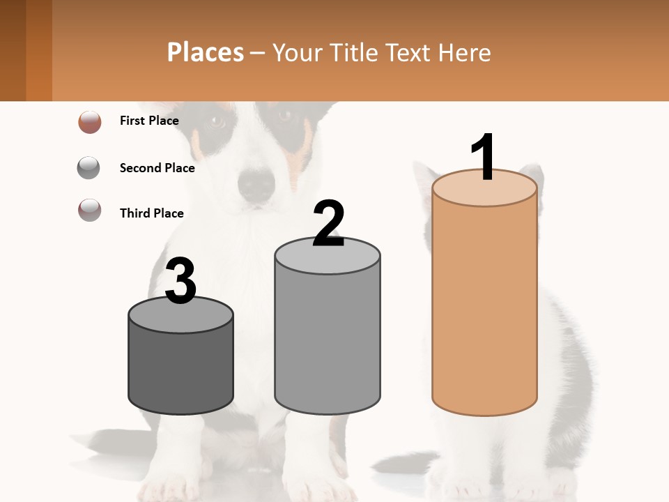 A Dog And A Cat Sitting Next To Each Other PowerPoint Template