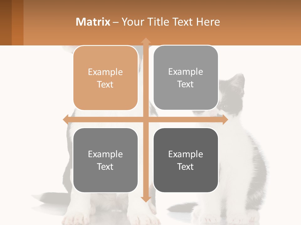 A Dog And A Cat Sitting Next To Each Other PowerPoint Template