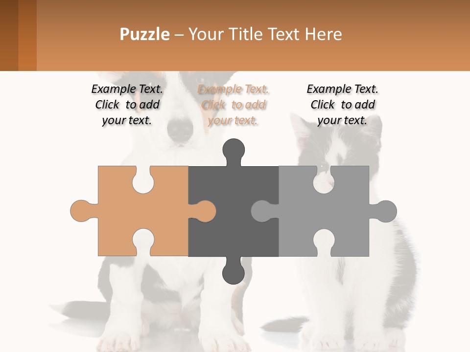 A Dog And A Cat Sitting Next To Each Other PowerPoint Template