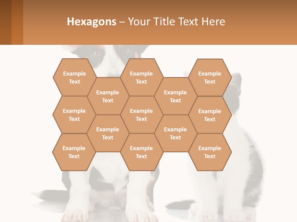 A Dog And A Cat Sitting Next To Each Other PowerPoint Template