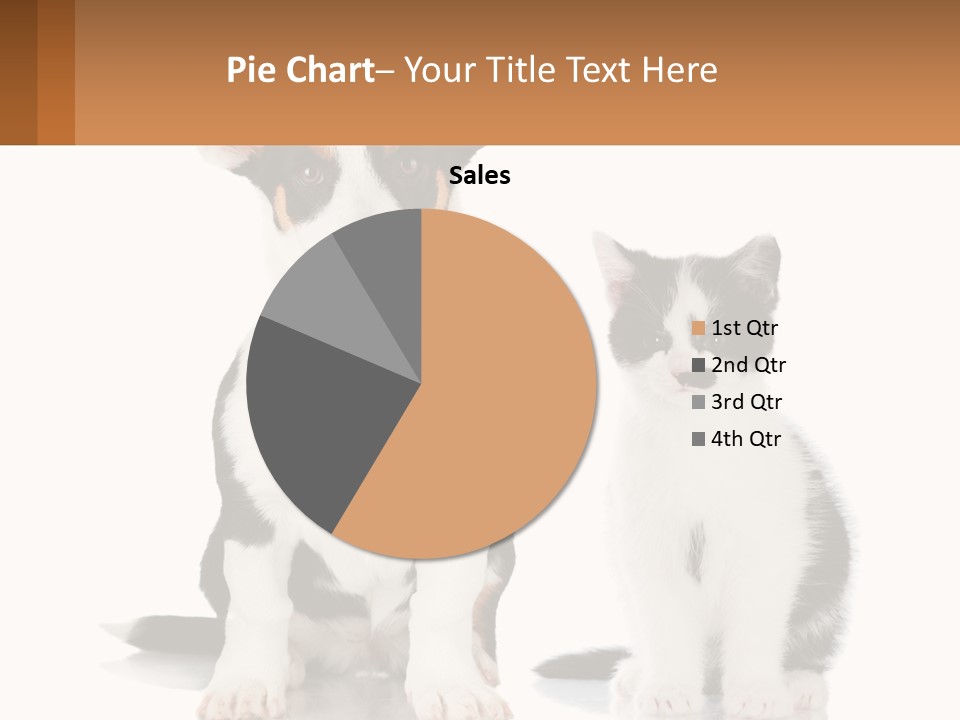A Dog And A Cat Sitting Next To Each Other PowerPoint Template