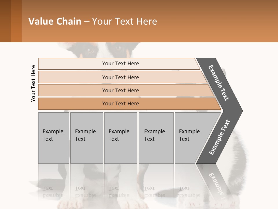 A Dog And A Cat Sitting Next To Each Other PowerPoint Template