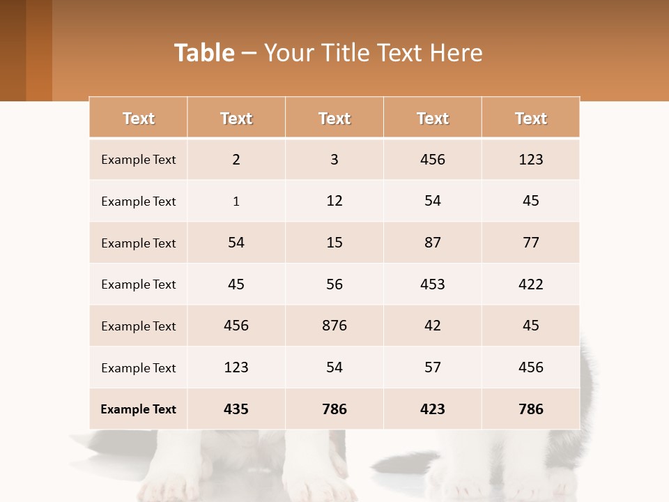 A Dog And A Cat Sitting Next To Each Other PowerPoint Template