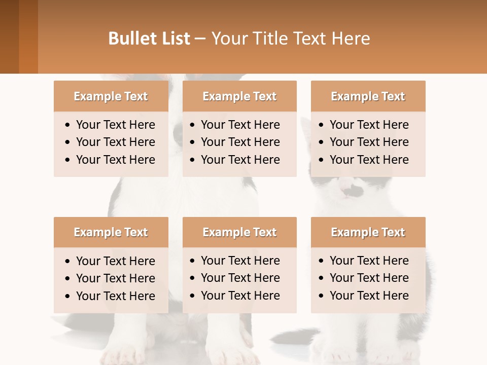 A Dog And A Cat Sitting Next To Each Other PowerPoint Template