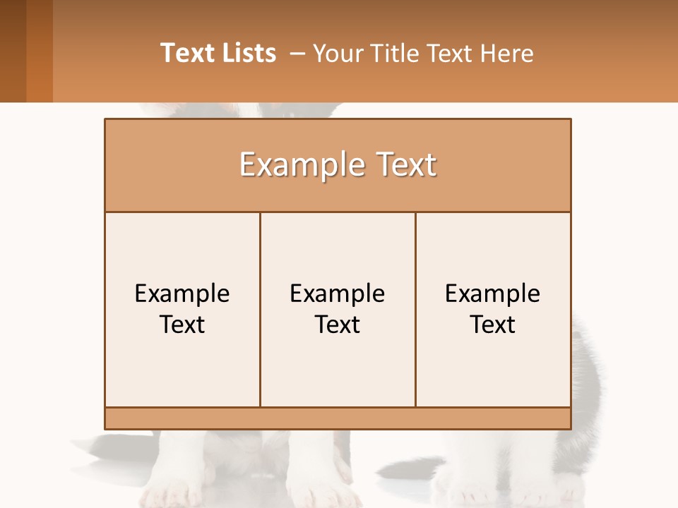 A Dog And A Cat Sitting Next To Each Other PowerPoint Template