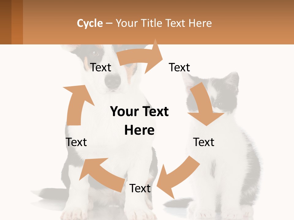A Dog And A Cat Sitting Next To Each Other PowerPoint Template