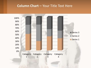 A Dog And A Cat Sitting Next To Each Other PowerPoint Template