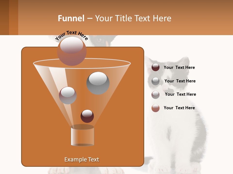 A Dog And A Cat Sitting Next To Each Other PowerPoint Template