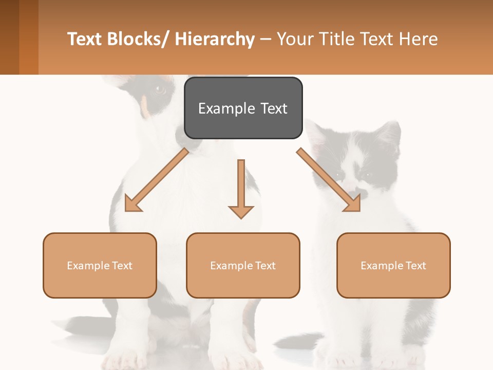 A Dog And A Cat Sitting Next To Each Other PowerPoint Template