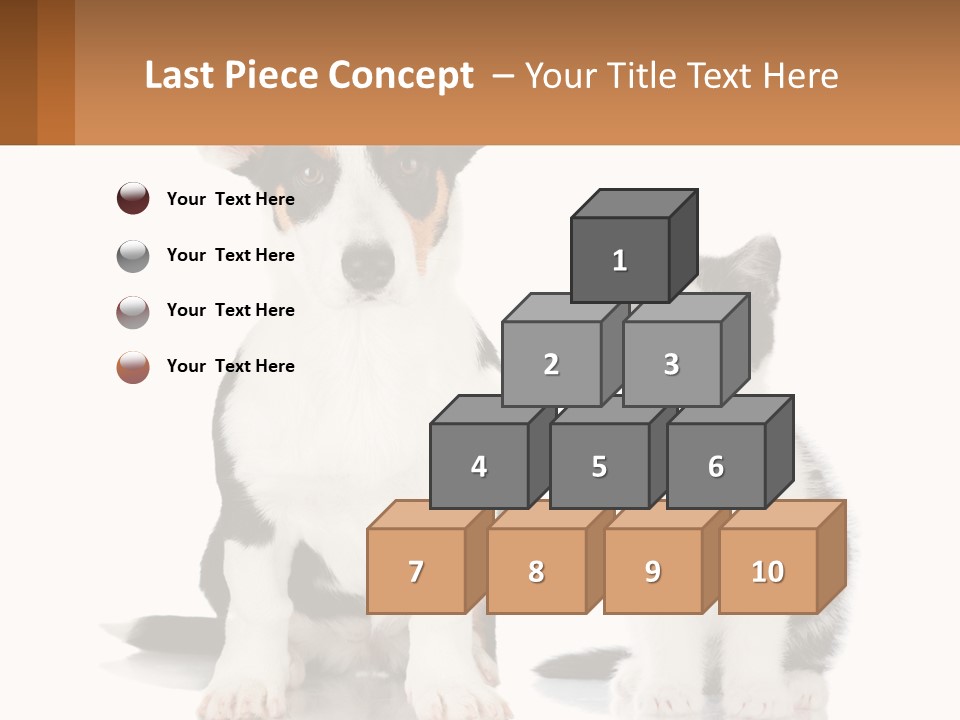A Dog And A Cat Sitting Next To Each Other PowerPoint Template