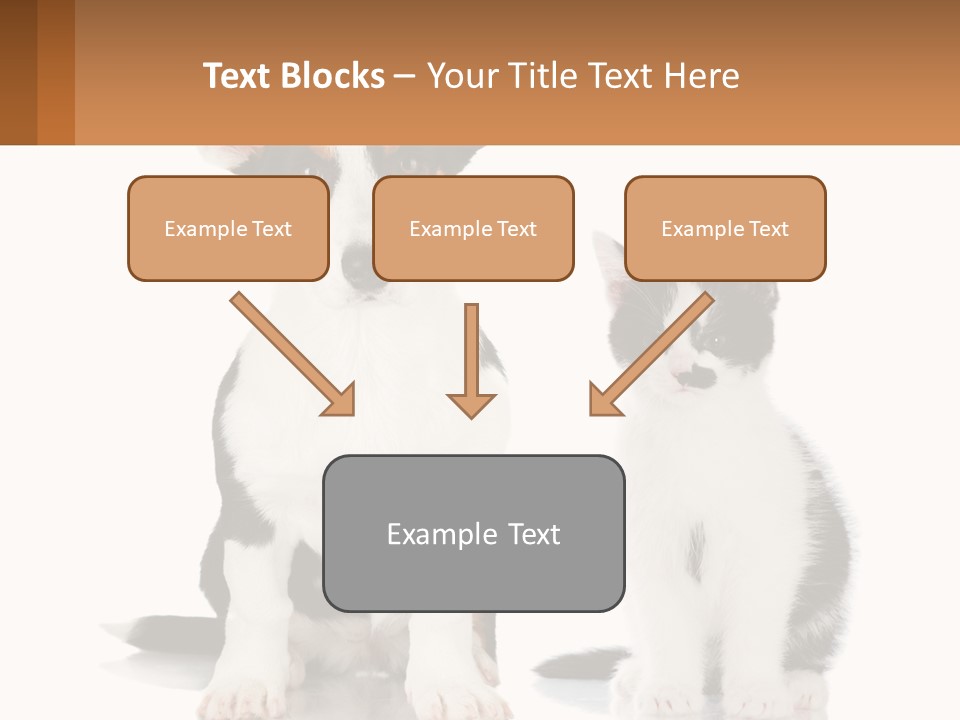 A Dog And A Cat Sitting Next To Each Other PowerPoint Template
