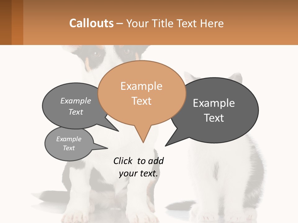 A Dog And A Cat Sitting Next To Each Other PowerPoint Template