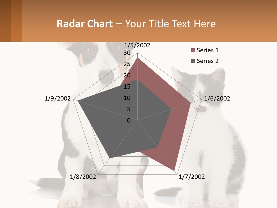 A Dog And A Cat Sitting Next To Each Other PowerPoint Template