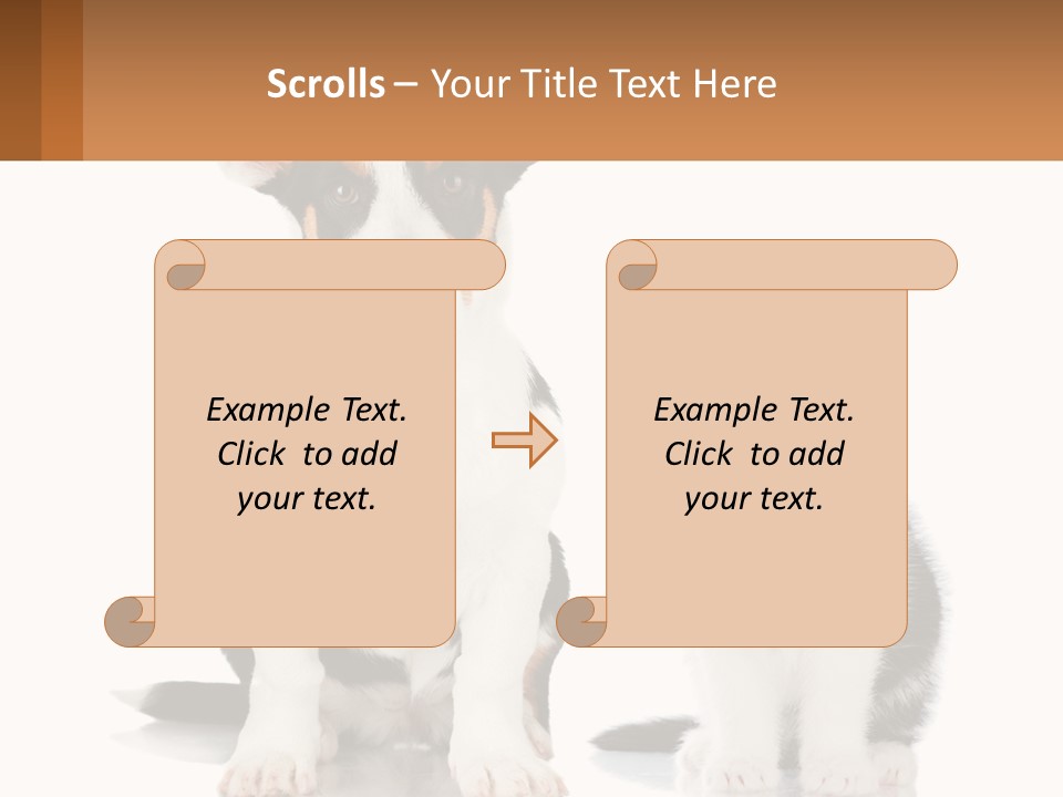 A Dog And A Cat Sitting Next To Each Other PowerPoint Template