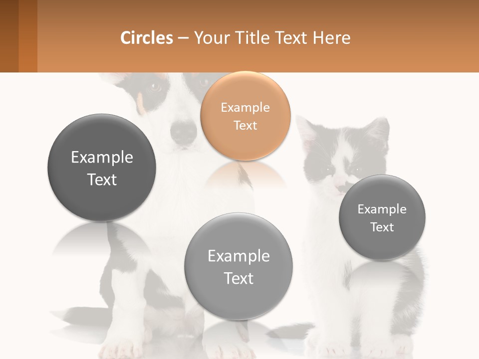 A Dog And A Cat Sitting Next To Each Other PowerPoint Template