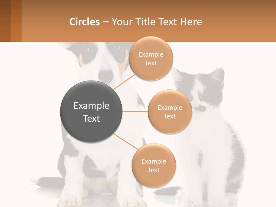 A Dog And A Cat Sitting Next To Each Other PowerPoint Template