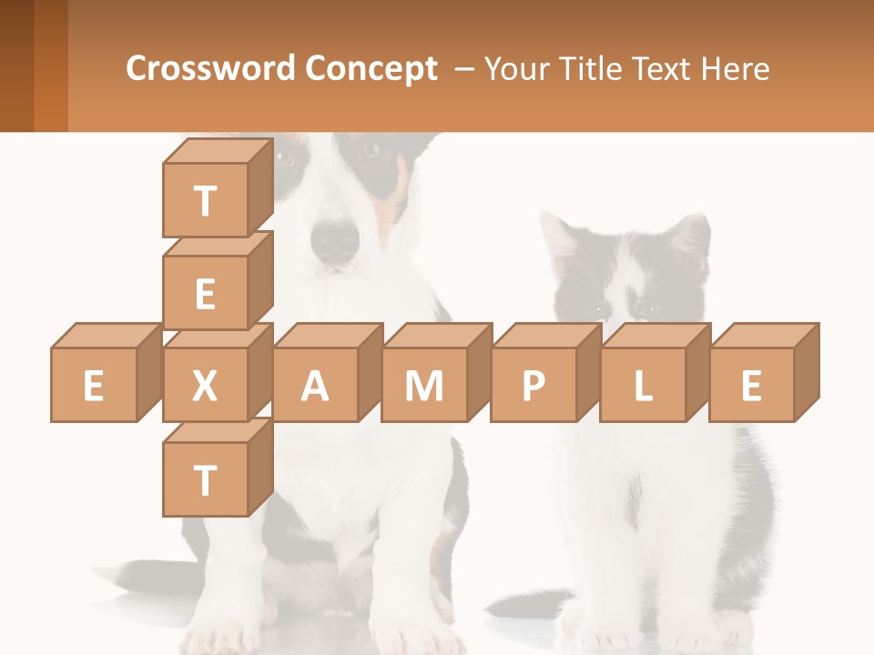 A Dog And A Cat Sitting Next To Each Other PowerPoint Template