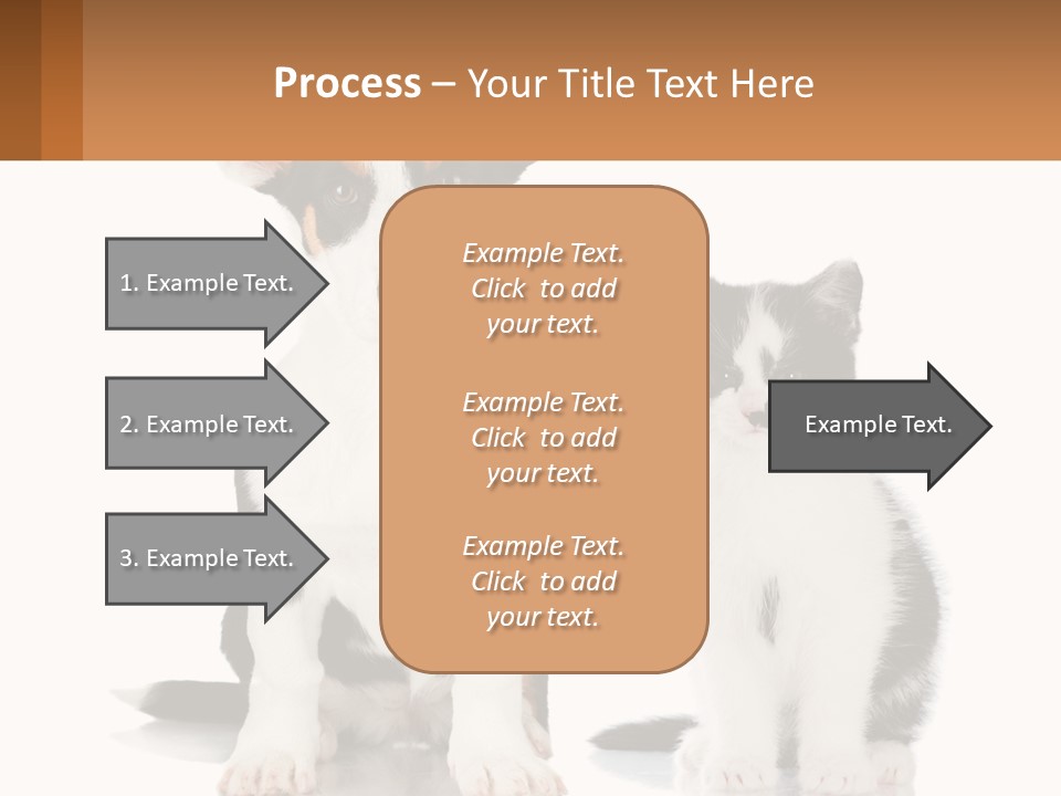 A Dog And A Cat Sitting Next To Each Other PowerPoint Template