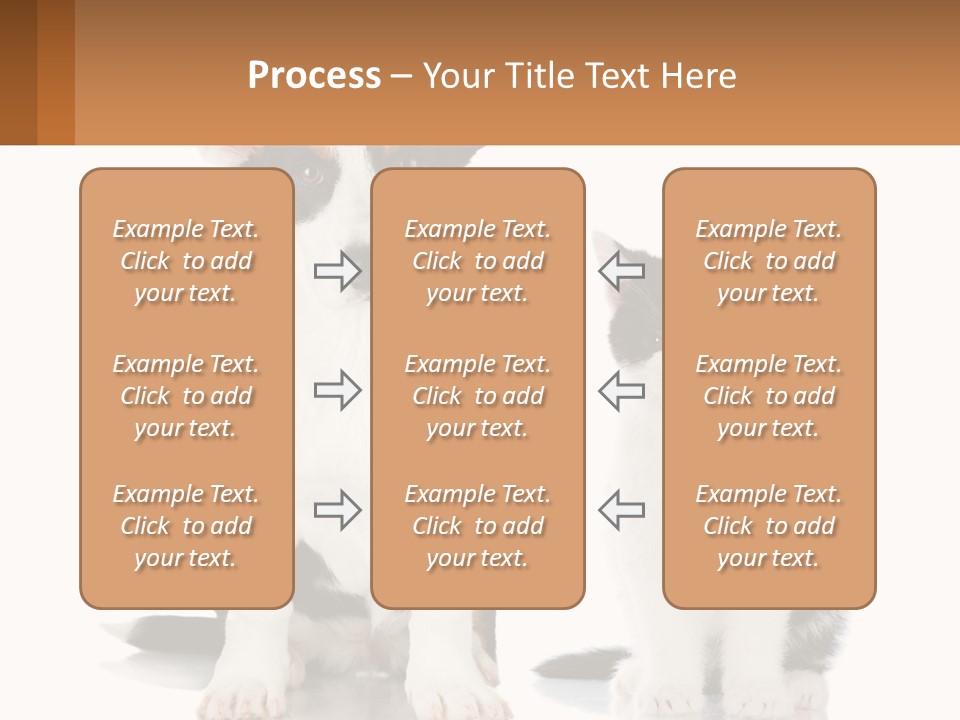 A Dog And A Cat Sitting Next To Each Other PowerPoint Template