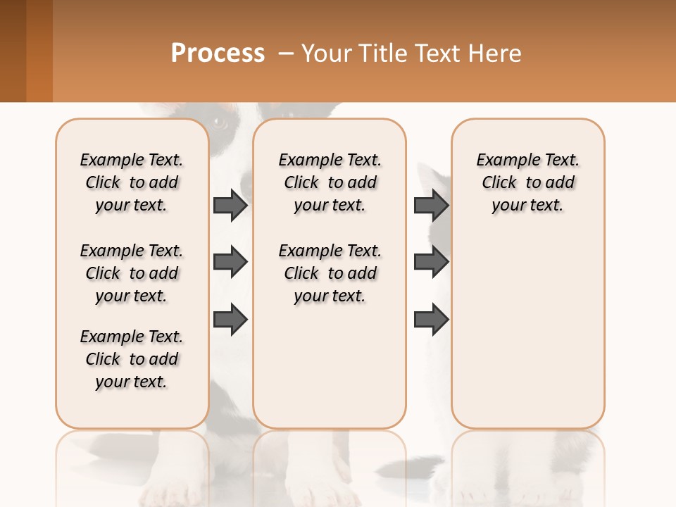 A Dog And A Cat Sitting Next To Each Other PowerPoint Template