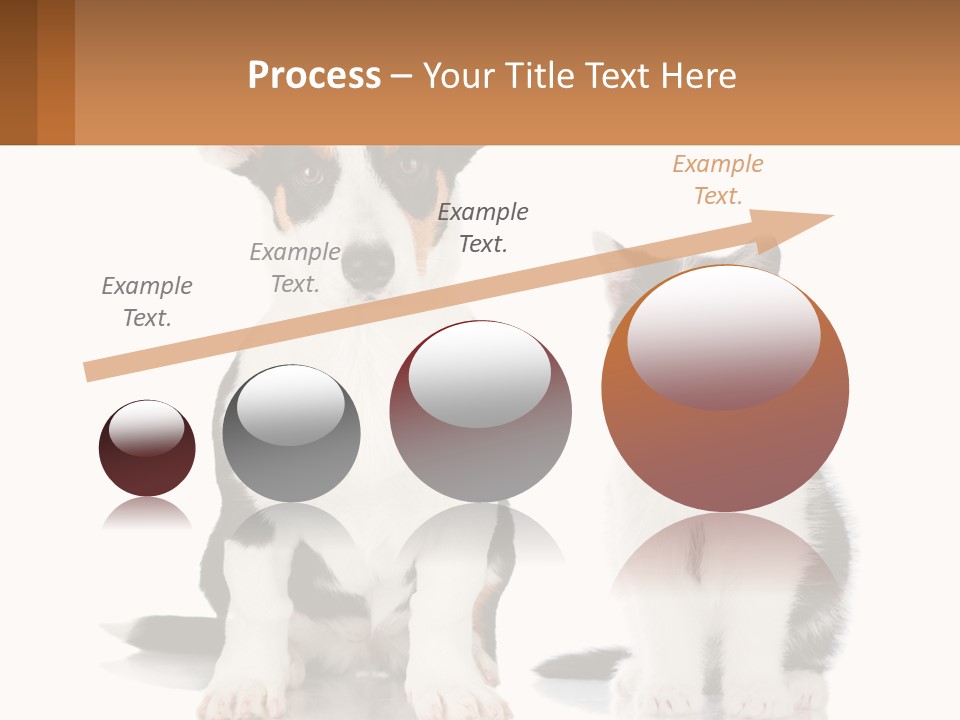 A Dog And A Cat Sitting Next To Each Other PowerPoint Template