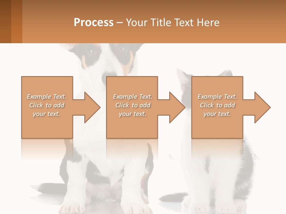 A Dog And A Cat Sitting Next To Each Other PowerPoint Template