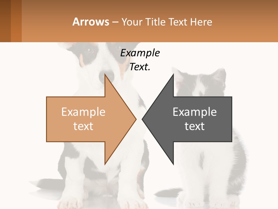 A Dog And A Cat Sitting Next To Each Other PowerPoint Template