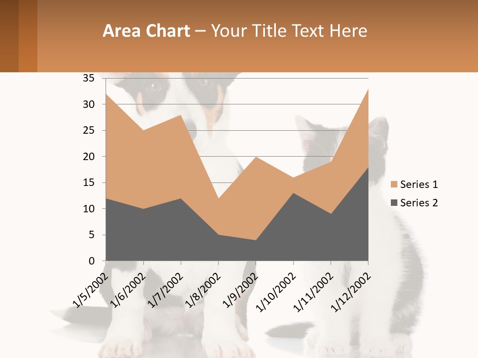 A Dog And A Cat Sitting Next To Each Other PowerPoint Template