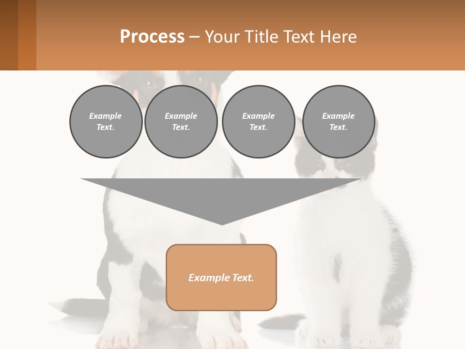 A Dog And A Cat Sitting Next To Each Other PowerPoint Template